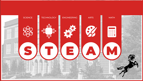 STEAM @ LMCMS